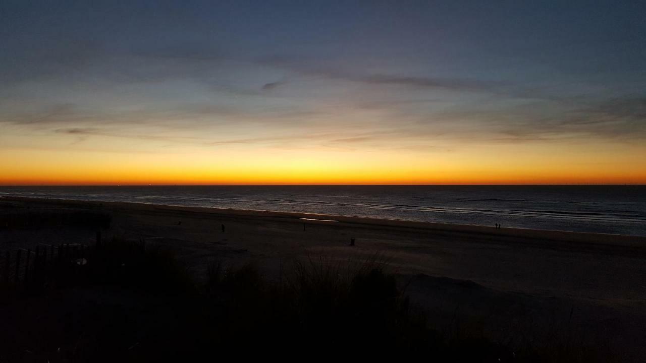 Near The Beach Zandvoort Exterior photo